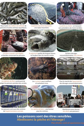 Tract "poissons" PEA - 2.jpg