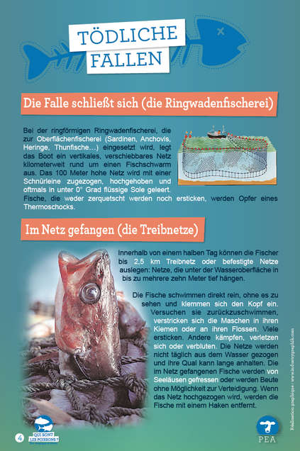 D4-DE.png