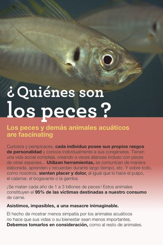 Quienes son-ES-ro.jpg