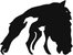 Pro Animale für Tiere in Not, Germany