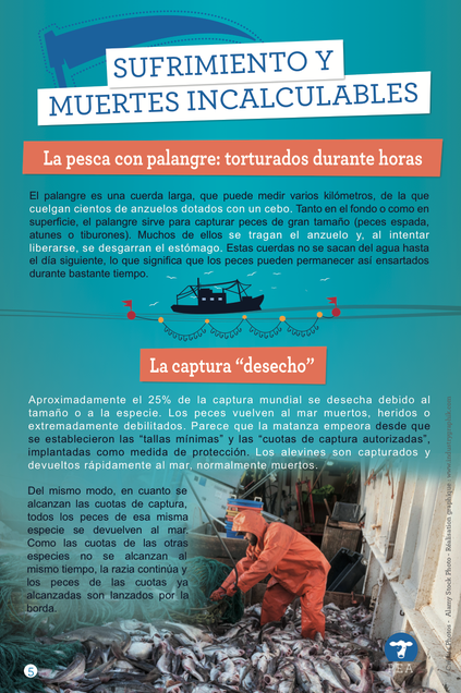 panneau-expo-ESP-5.png