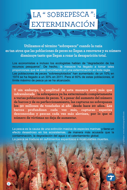 panneau-expo-ESP-6.png