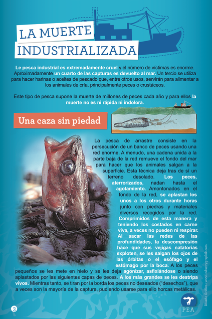 panneau-expo-ESP-3.png