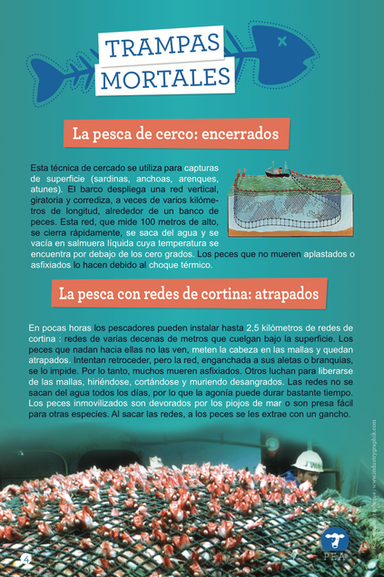 panneau-expo-ESP-4.png